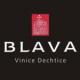Vinice Dechtice